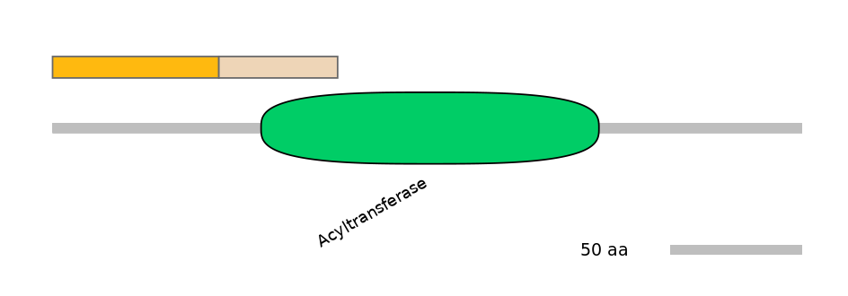 RnoINT0015234-EXC