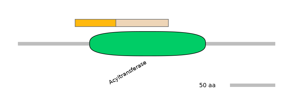 RnoINT0015235-EXC