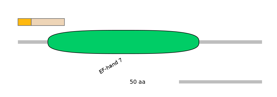 RnoINT0015558-EXC