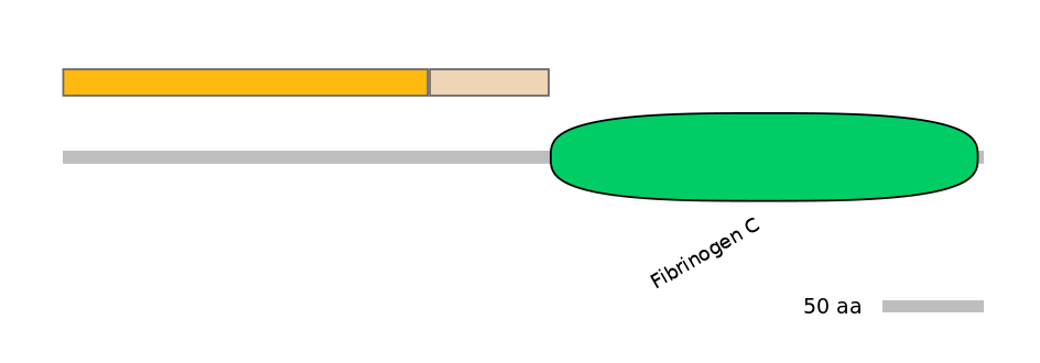 RnoINT0017331-EXC
