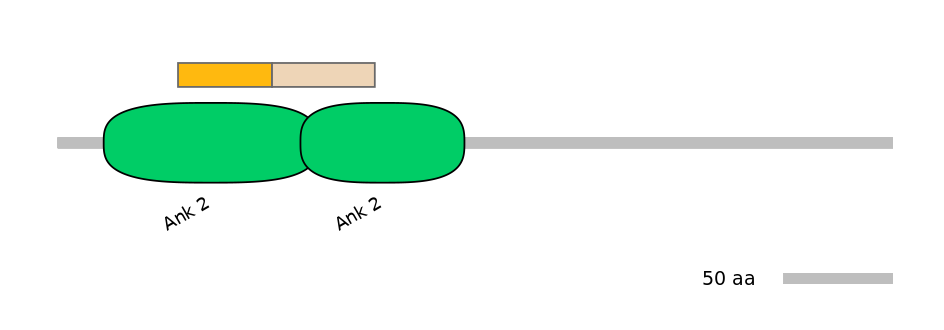RnoINT0017829-EXC