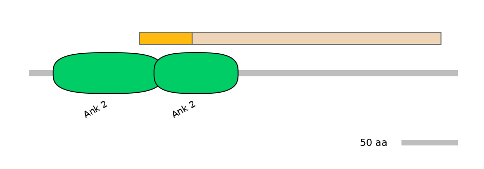 RnoINT0017830-EXC