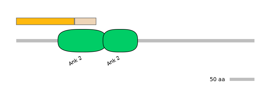 RnoINT0017832-EXC