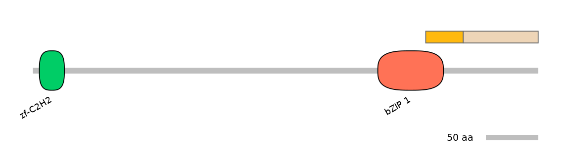 RnoINT0022343-EXC