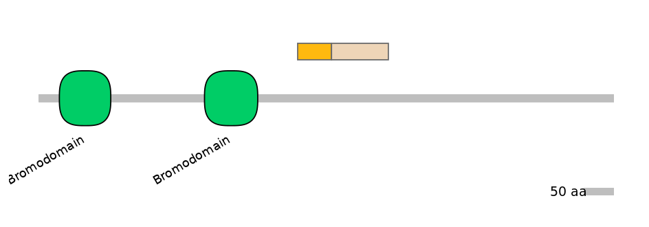 RnoINT0026473-EXC