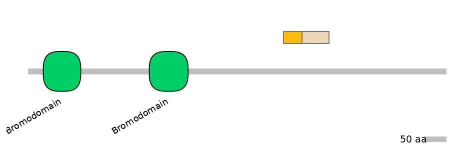 RnoINT0026475-EXC