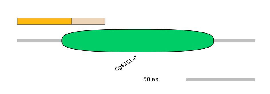 RnoINT0027625-EXC