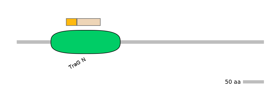 RnoINT0030553-EXC