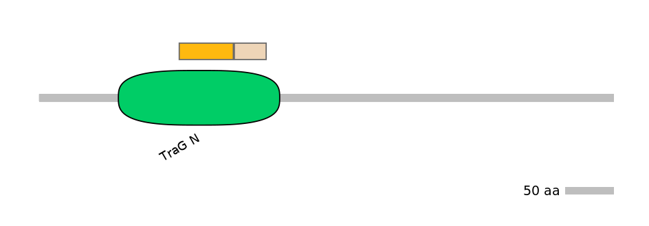 RnoINT0030554-EXC