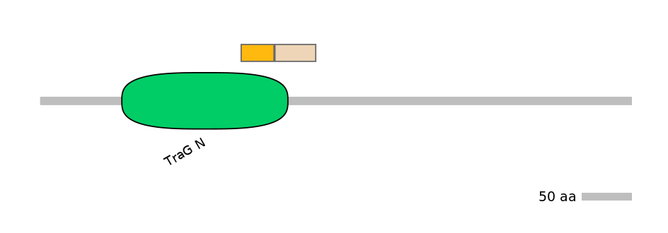 RnoINT0030555-EXC