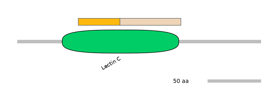 RnoINT0032132-EXC
