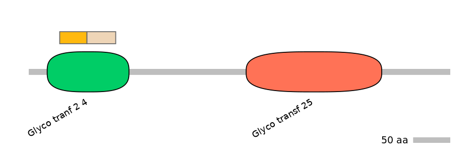 RnoINT0034830-EXC