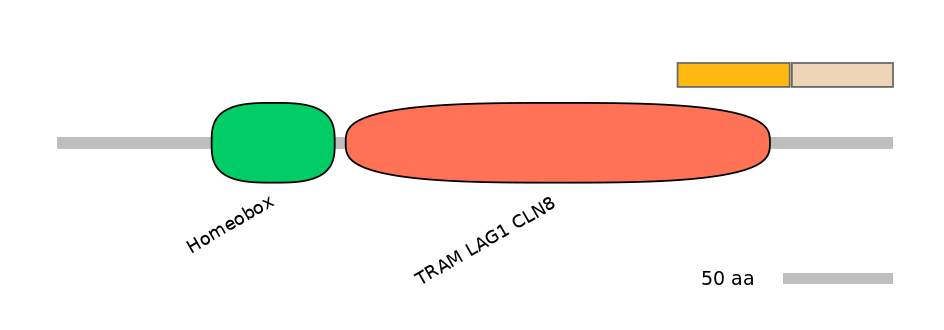 RnoINT0034860-EXC