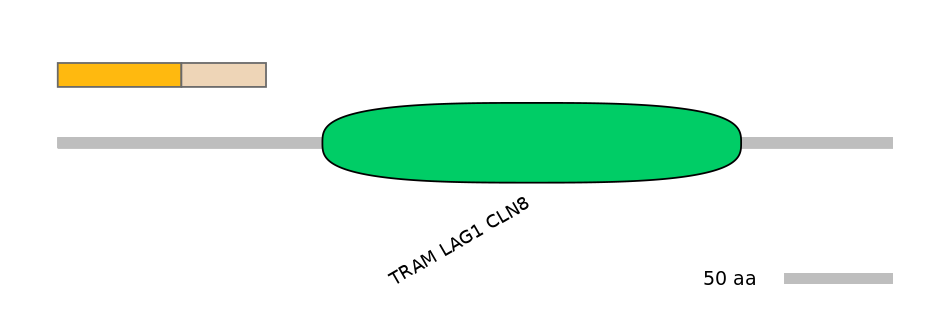 RnoINT0034861-EXC