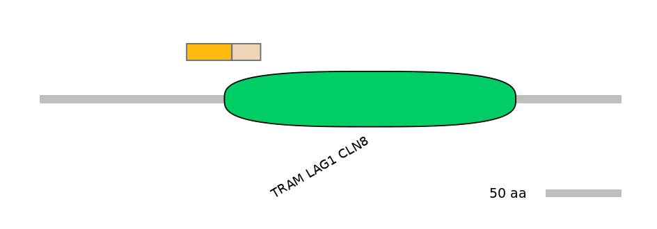 RnoINT0034863-EXC