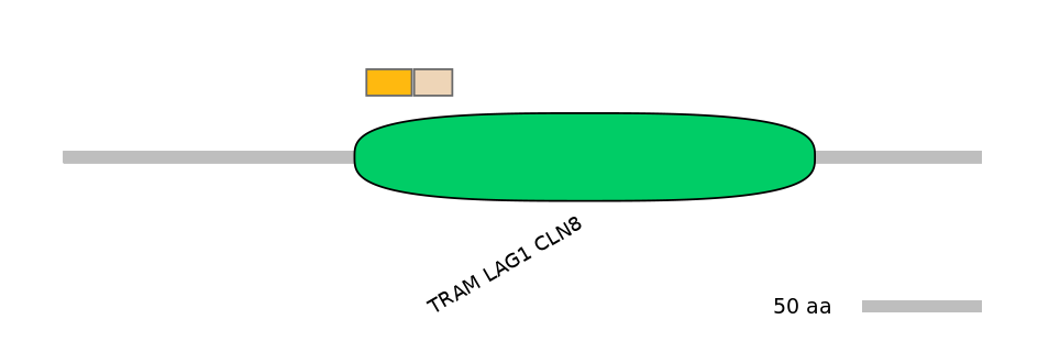 RnoINT0034864-EXC