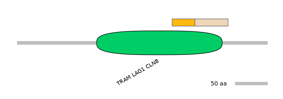 RnoINT0034868-EXC