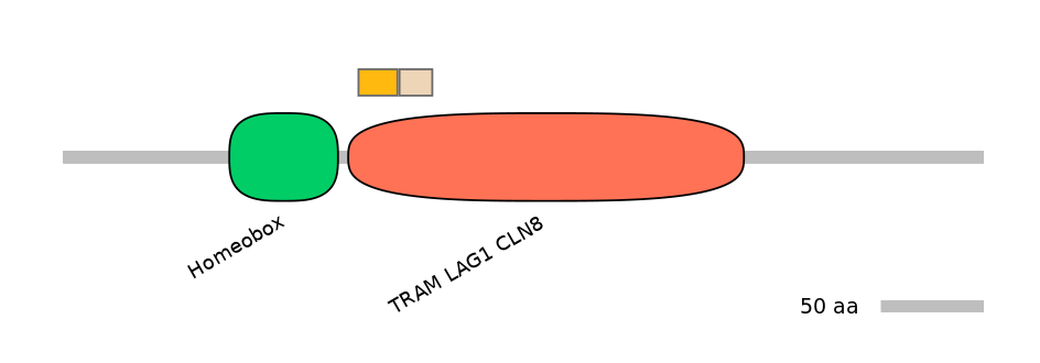 RnoINT0034893-EXC
