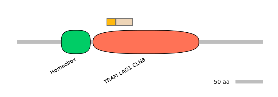 RnoINT0034894-EXC
