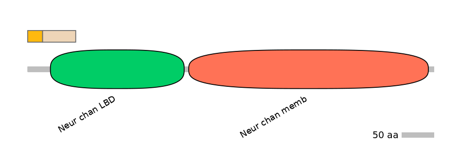 RnoINT0036288-EXC