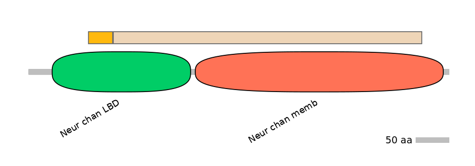 RnoINT0036291-EXC