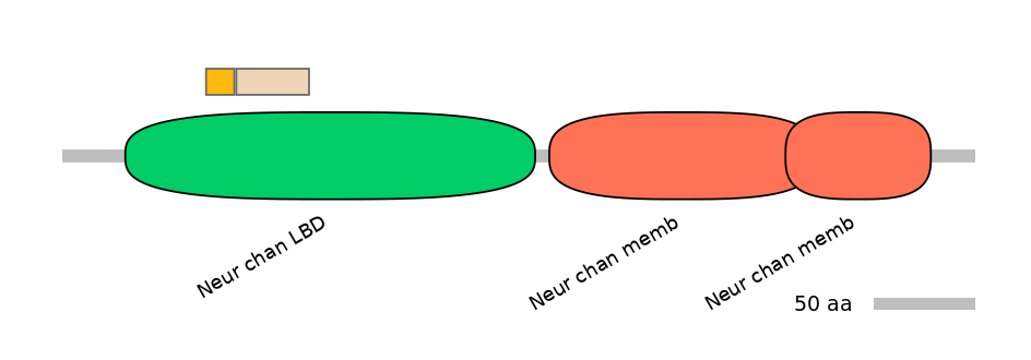 RnoINT0036296-EXC