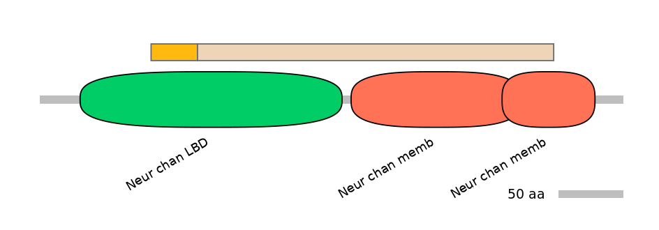RnoINT0036297-EXC