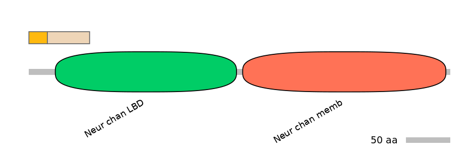 RnoINT0036314-EXC