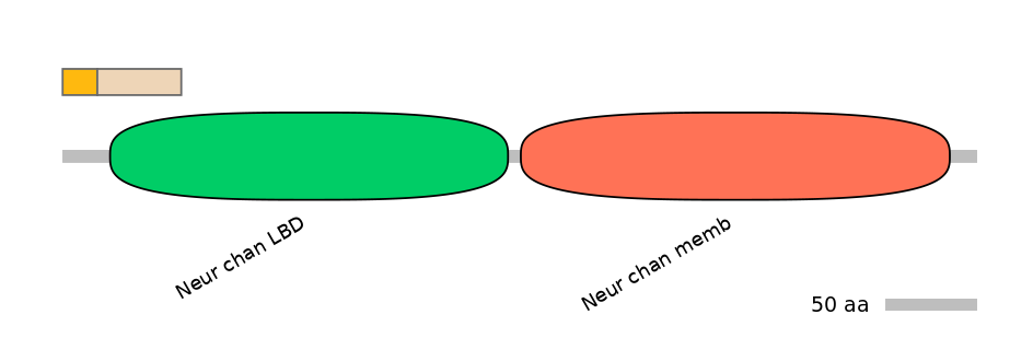 RnoINT0036318-EXC