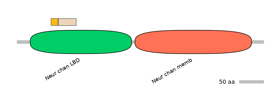 RnoINT0036330-EXC
