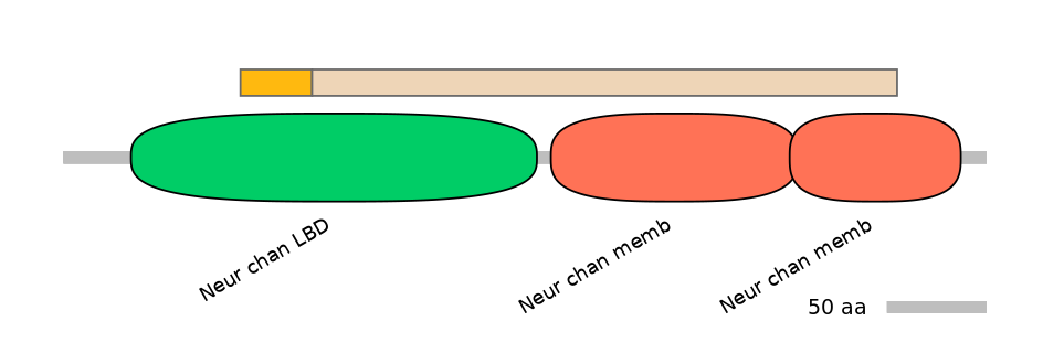 RnoINT0036336-EXC