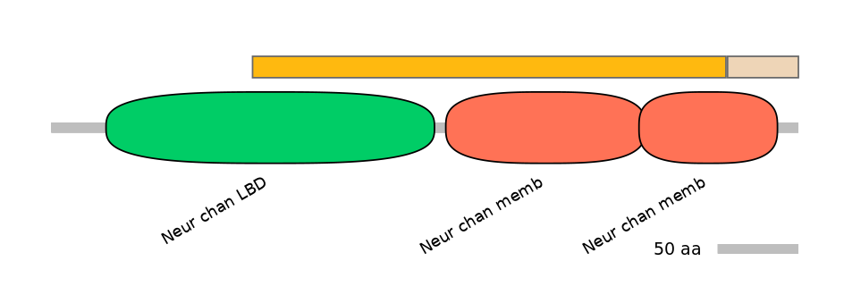RnoINT0036337-EXC