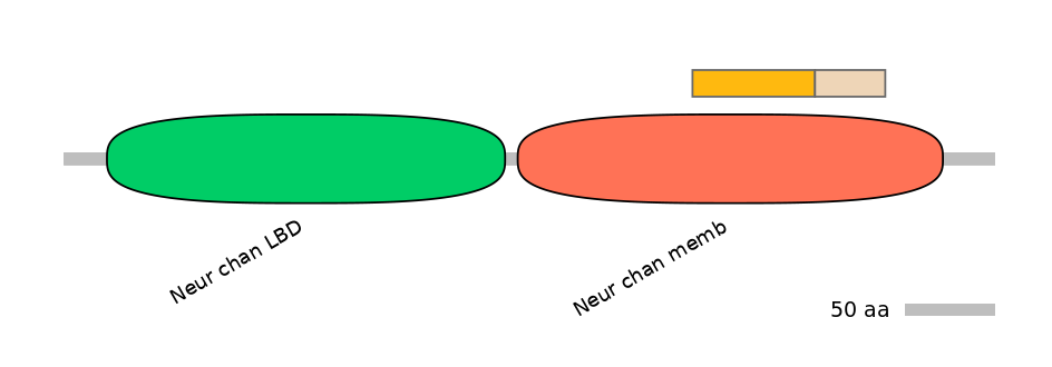RnoINT0036344-EXC