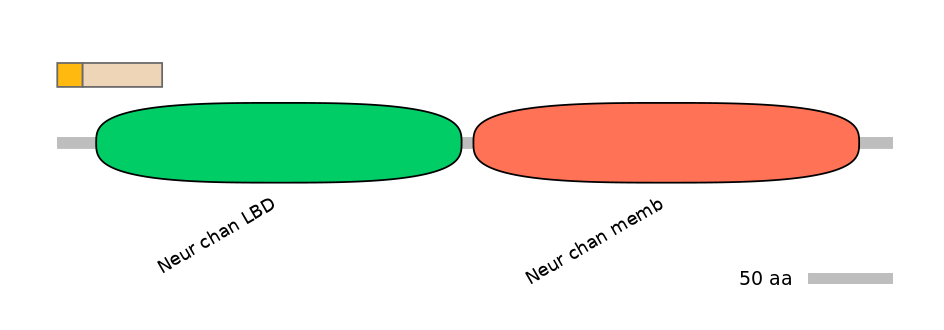 RnoINT0036354-EXC