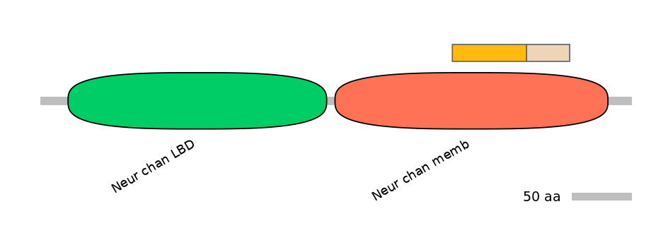 RnoINT0036355-EXC
