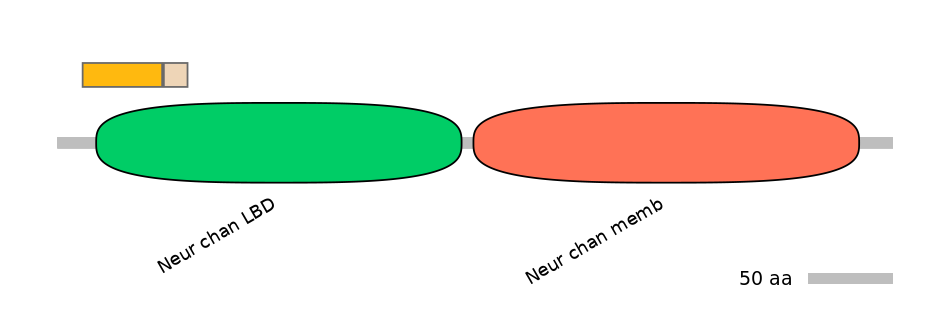 RnoINT0036357-EXC