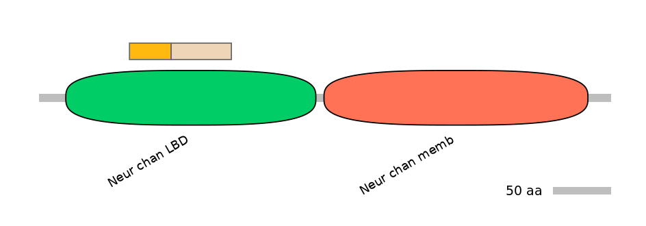 RnoINT0036359-EXC