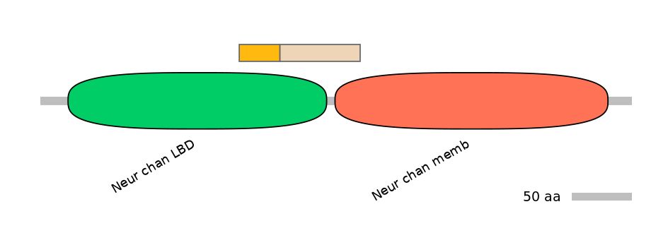 RnoINT0036361-EXC