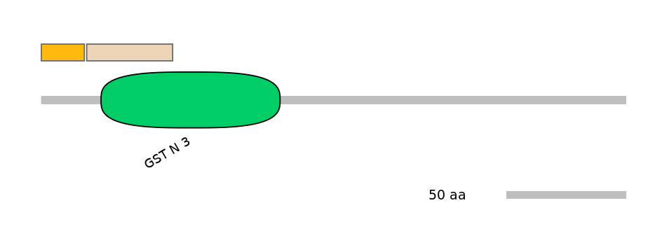 RnoINT0037275-EXC
