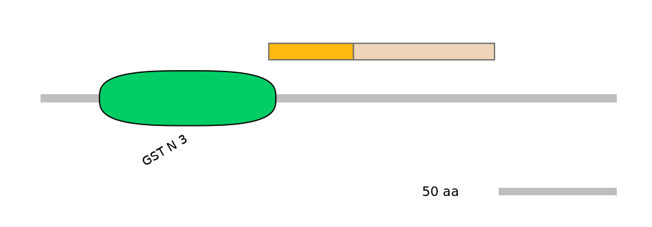 RnoINT0037278-EXC