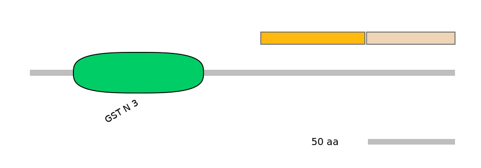 RnoINT0037279-EXC