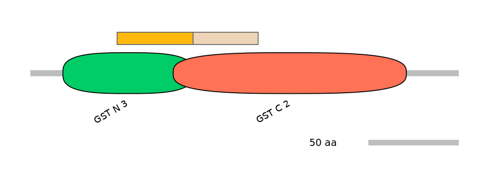 RnoINT0037282-EXC