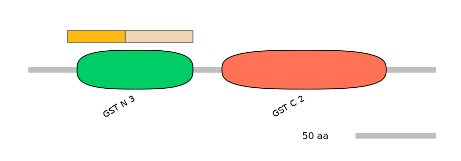 RnoINT0037286-EXC