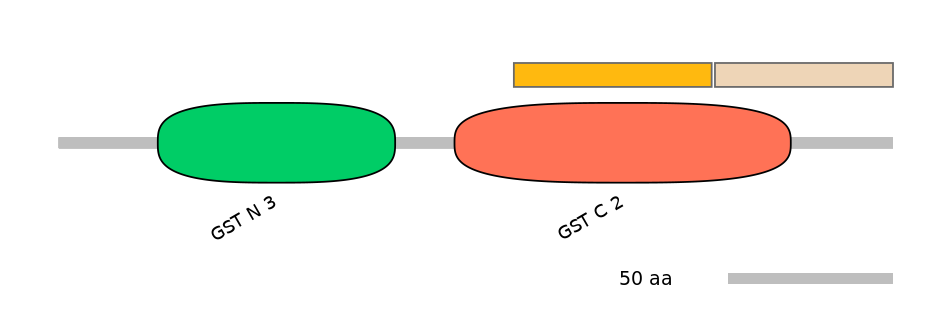 RnoINT0037289-EXC