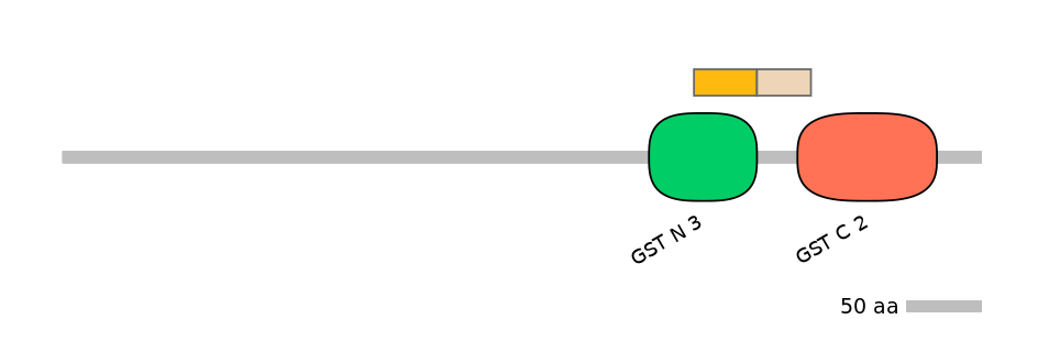 RnoINT0037298-EXC