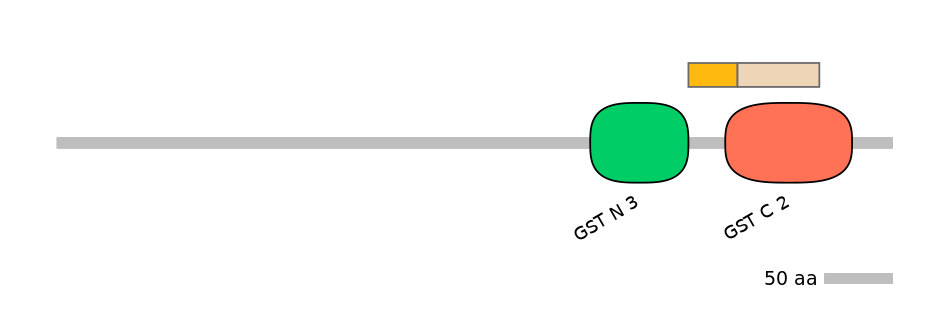 RnoINT0037299-EXC