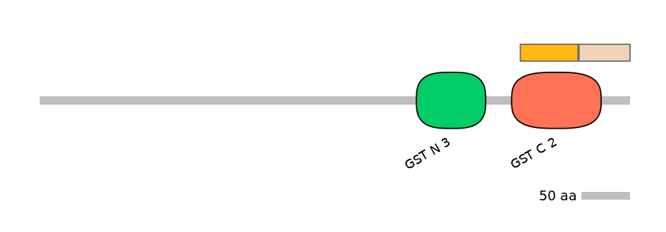 RnoINT0037300-EXC