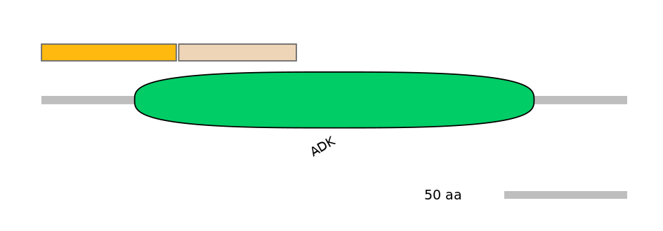 RnoINT0037801-EXC