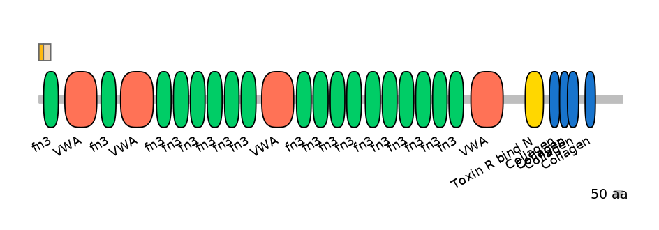 RnoINT0038909-EXC