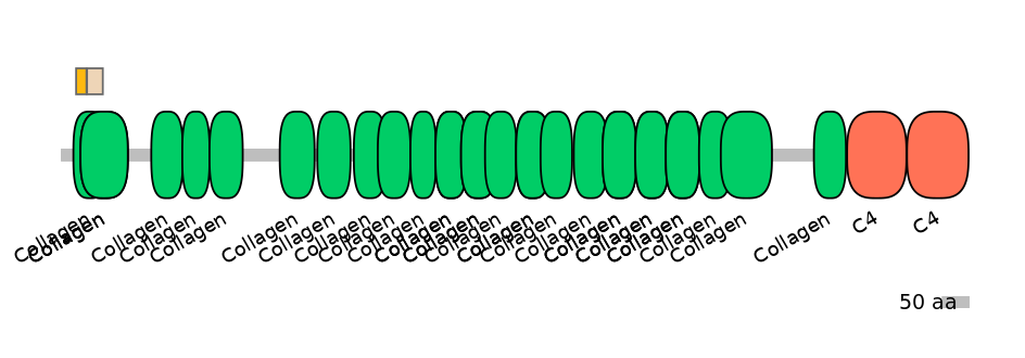 RnoINT0039713-EXC